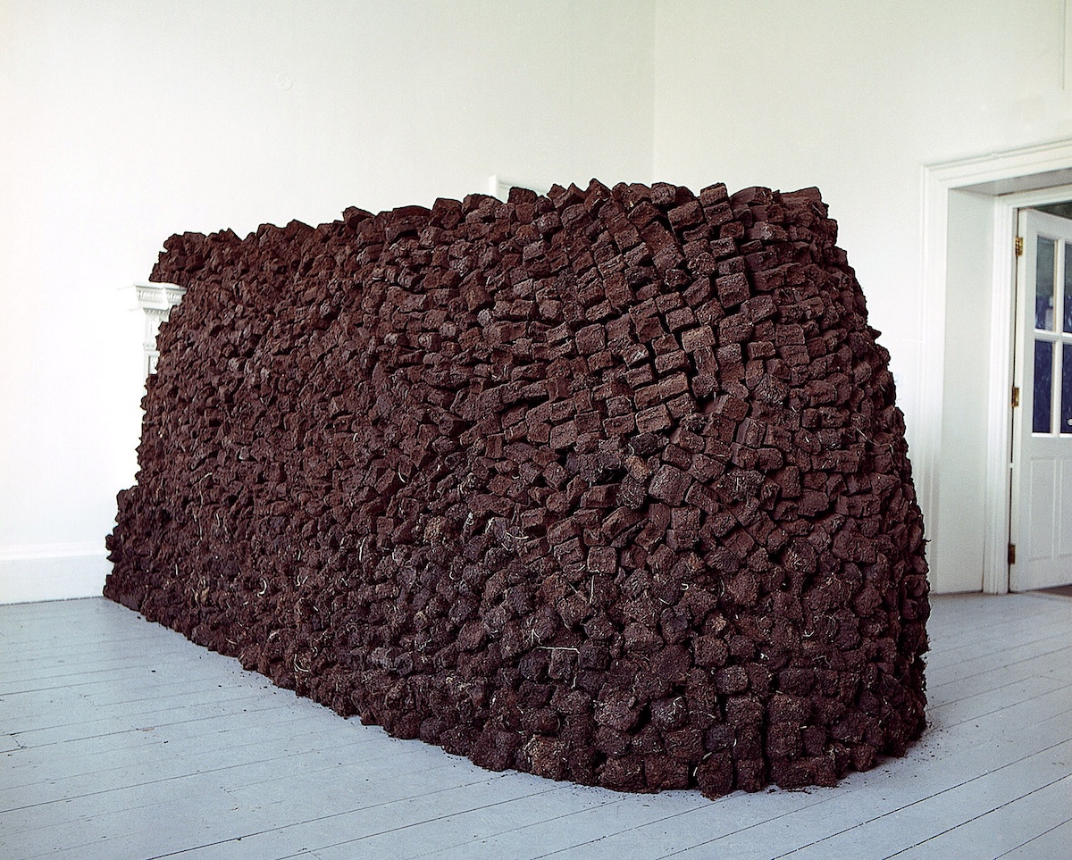 Rick, Patrick Ireland, IMMA, 2000. Image Fionn McCann | House Call / Brian O’Doherty | Friday 15 February  – Saturday 27 April 2019 | SIRIUS