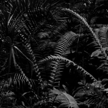 Martin Healy: Terrain |  Royal Hibernian Academy 
15 Ely Place, Dublin 2 | Friday 18 January to Monday 22 April 2019 | to 