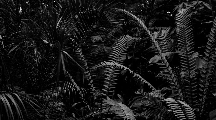 Martin Healy, Terrain I, 2015, Archival pigment print, 80 x 100cm, Image courtesy of the artist. | Martin Healy: Terrain | Friday 18 January  – Monday 22 April 2019 | Royal Hibernian Academy