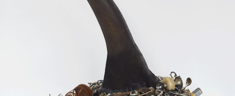 mark-dion-021-r-horn