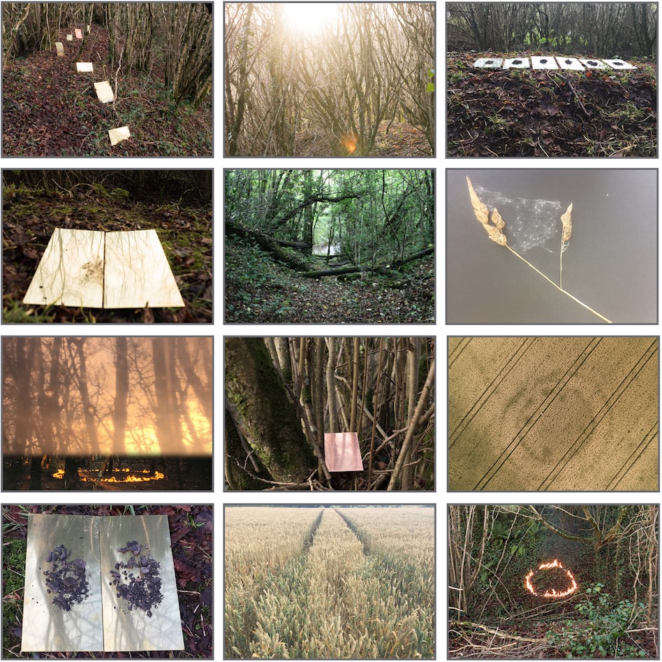 Siobhan McDonald: Crystalline: Hidden Monuments | Friday 1 February  – Sunday 24 March 2019 | Limerick City Gallery