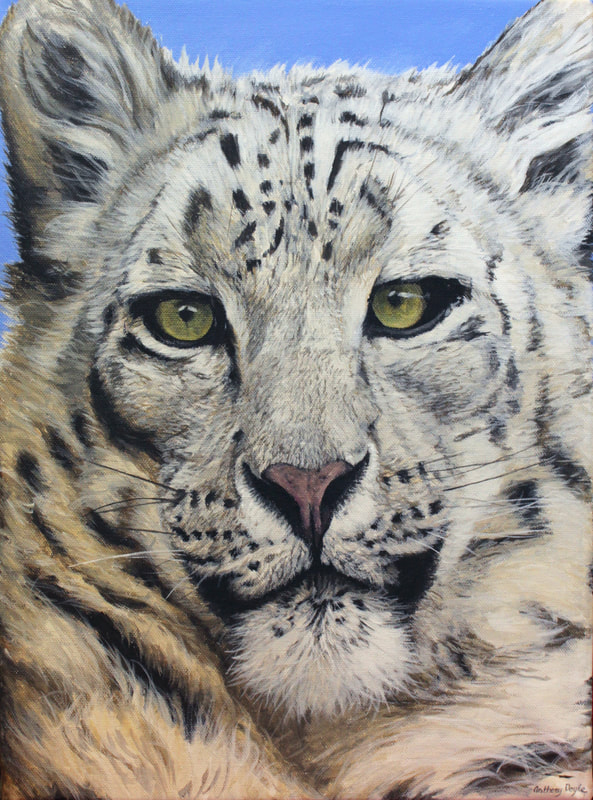 Anthony Doyle: Snow Leopard, acrylic on canvas, 2018 | Annual Lions Club Exhibition | Monday 25 February  – Saturday 23 March 2019 | Wexford Arts Centre