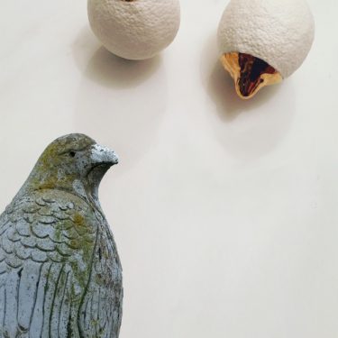 Anne Ffrench and Julia Pallone: The Hawk and The House |  Uillinn: West Cork Arts Centre 
Skibbereen, Co Cork | Saturday 9 March to Wednesday 10 April 2019 | to 