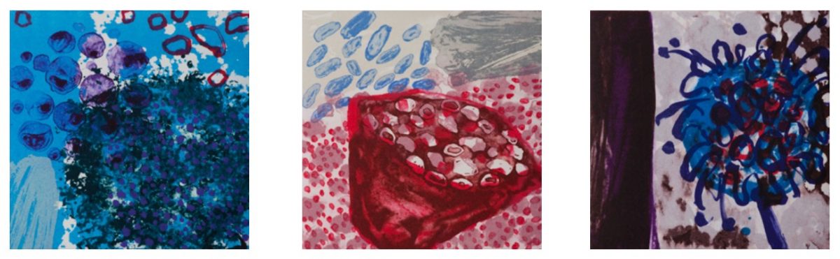 Taffina Flood | The Works – 30 years of the B&A / Graphic Studio Dublin Comission | Thursday 14 February  – Saturday 9 March 2019 | Graphic Studio Gallery