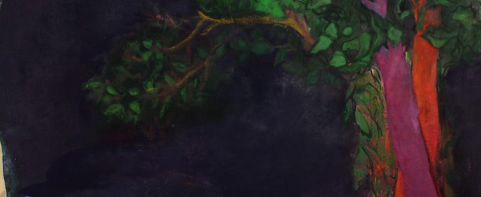 When he Dreams, he Runs