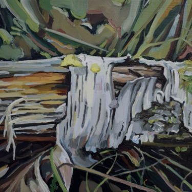 Cecilia Danell: In a Landscape |  Royal Hibernian Academy 
15 Ely Place, Dublin 2 | Friday 15 March to Monday 22 April 2019 | to 