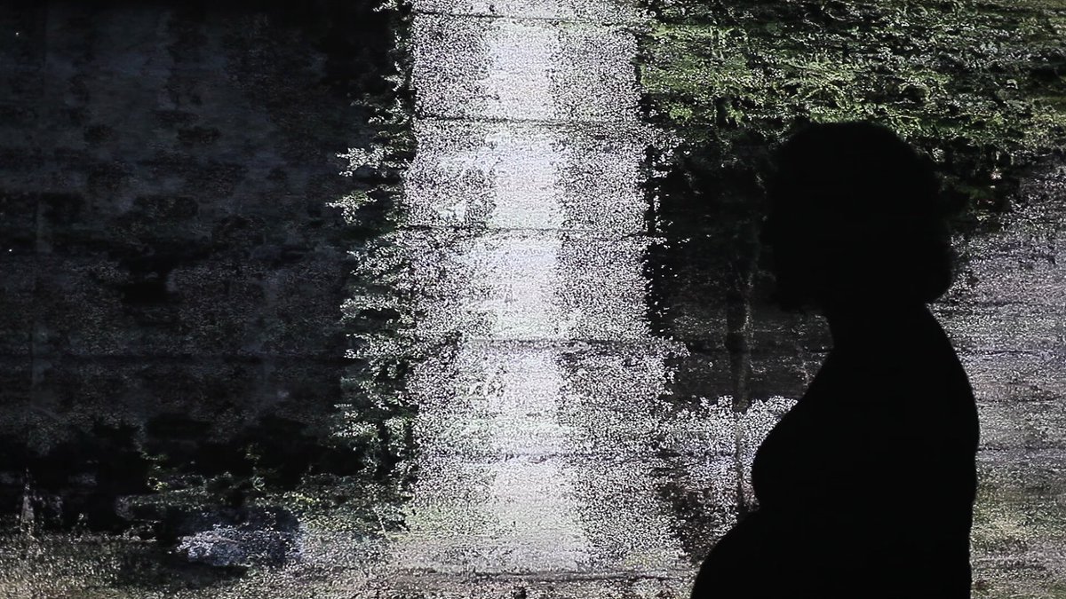 EL Putnam | Digital Arts Studios: Annual Review Exhibition | Thursday 7 March  – Saturday 20 April 2019 | Golden Thread Gallery