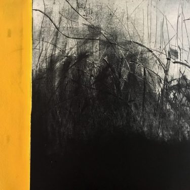 The New State: Contemporary Etching in Ireland |  Graphic Studio Gallery 
off Cope Street Temple Bar, Dublin 2 | Friday 15 March to Saturday 6 April 2019 | to 