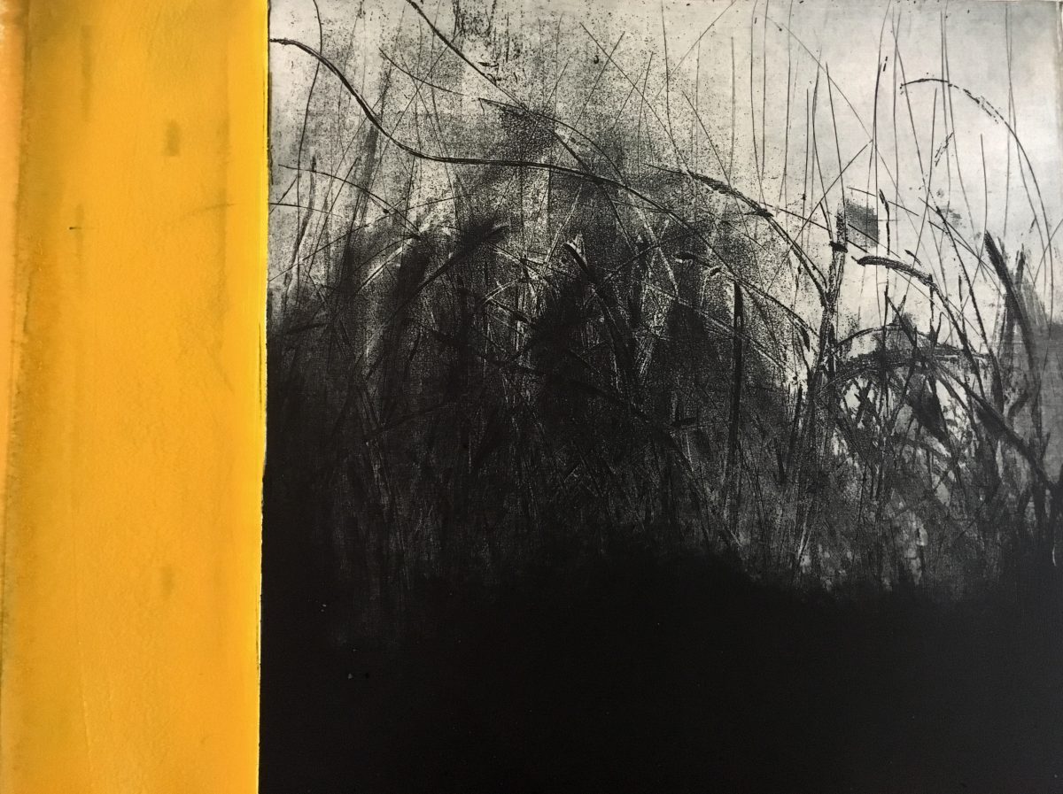 Hillary Kinahan, Bog Series #3 | The New State: Contemporary Etching in Ireland | Friday 15 March  – Saturday 6 April 2019 | Graphic Studio Gallery