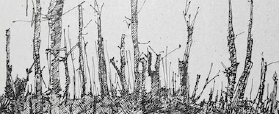 stumpy thicket, Ben Reilly, Pen and ink on card, 21 x 29 cm, 2019