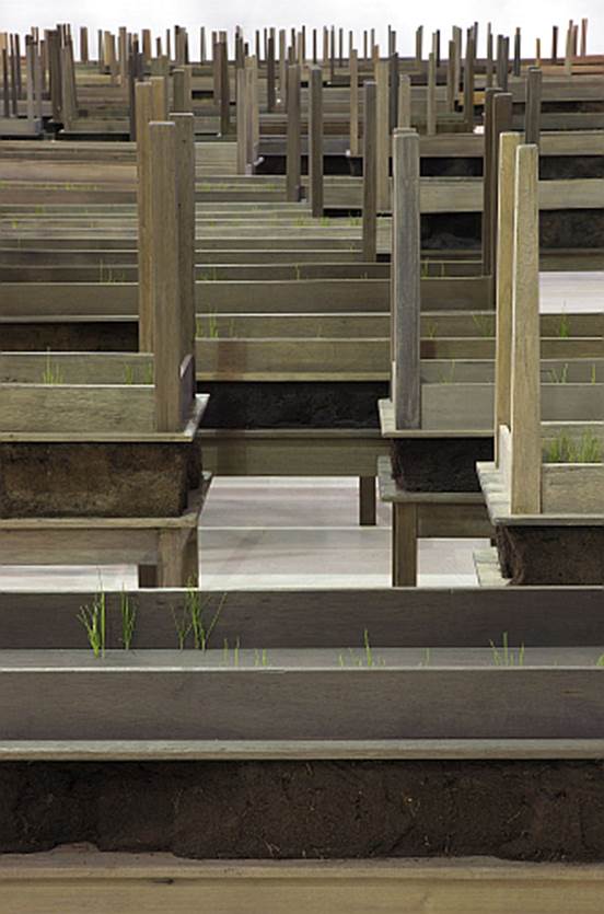 Doris Salcedo, Plegaria Muda, 2008-2010, Wood, mineral compound, cement and grass, Dimensions variable, © the artist. Courtesy White Cube | Doris Salcedo: Acts of Mourning | Friday 26 April  – Sunday 21 July 2019 | IMMA
