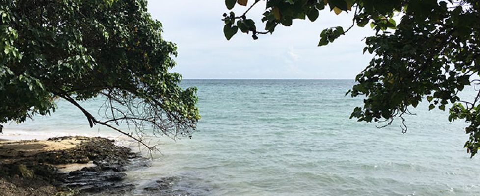 Marianne-Keating_Large