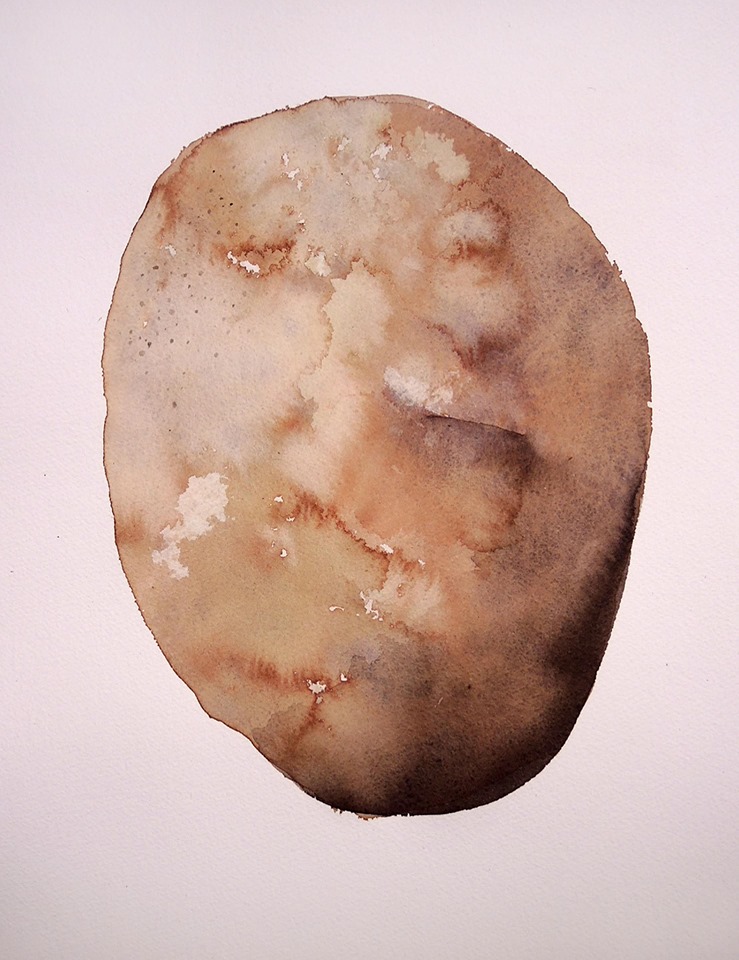 Olives, Oysters and Oranges | Friday 14 June  – Sunday 30 June 2019 | Olivier Cornet Gallery