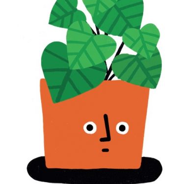 Fuchsia MacAree |  Garter Lane Arts Centre 
O'Connell Street Waterford | Thursday 4 July to Saturday 17 August 2019 | to 