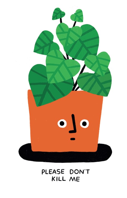 Fuchsia MacAree | Thursday 4 July  – Saturday 17 August 2019 | Garter Lane Arts Centre