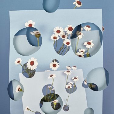 Alma Haser: Pseudo |  Atypical Gallery 
109 - 113 Royal Avenue Belfast BT1 1FF | Thursday 6 June to Wednesday 19 June 2019 | to 