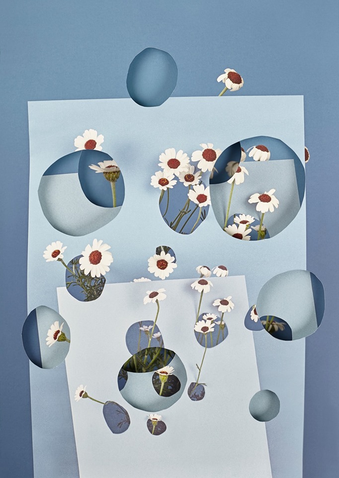 Alma Haser: Pseudo | Thursday 6 June  – Wednesday 19 June 2019 | Atypical Gallery