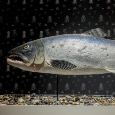 Study Morning: Our Plundered Planet |  Hugh Lane Gallery 
Parnell Square North Dublin 1  | Friday 12 July 2019 | to 