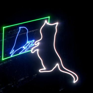 Robin Price: Tits and Kittens |  Millennium Court Arts Centre 
William Street, Portadown | Saturday 3 August to Wednesday 25 September 2019 | to 