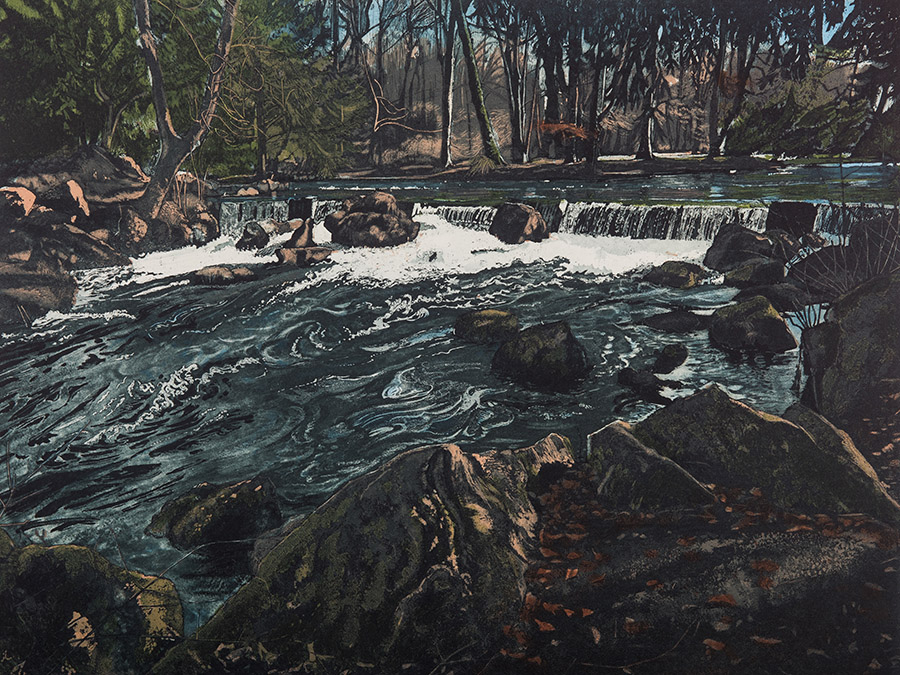 Louise Leonard: A river runs through it, etching | Louise Leonard: A Body of Water | Thursday 5 September  – Saturday 28 September 2019 | Graphic Studio Gallery