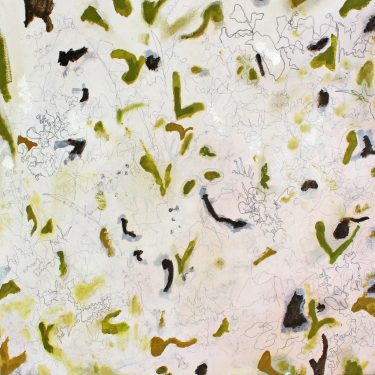 Sarah Long: Kingdom |  Studio 12 
Backwater Artists Group Wandesford Quay, Cork | Friday 13 September to Friday 11 October 2019 | to 