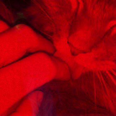 Patrick Staff: The Prince of Homburg |  IMMA 
Royal Hospital, Kilmainham Dublin 8 | Saturday 21 September to Sunday 17 November 2019 | to 