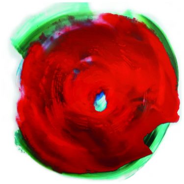 Fiona Stewart: Francis, Reflections and Roses – a Life Magnified |  Atypical Gallery 
109 - 113 Royal Avenue Belfast BT1 1FF | Thursday 1 August to Friday 23 August 2019 | to 