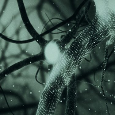 Guerilla Science: Escape to Reality |  National Sculpture Factory 
Albert Road, Cork City | Thursday 19 September to Friday 20 September 2019 | to 