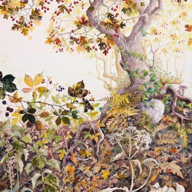 Yanny Petters: HEDGEROW, stories from a linear world |  Olivier Cornet Gallery 
3 Great Denmark Street (beside Belvedere College) Dublin 1 | Sunday 13 October to Sunday 17 November 2019 | to 