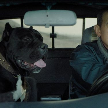 Vajiko Chachkhiani: Winter which was not there |  Crawford Art Gallery 
Emmet Place, Cork | Friday 4 October to Sunday 8 December 2019 | to 