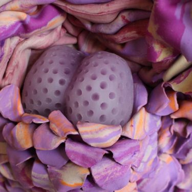 McGibbon O’Lynn: Xenophon: Life With Life Inside |  SIRIUS 
The Old Yacht Club Cobh, Co. Cork | Friday 20 September to Friday 1 November 2019 | to 