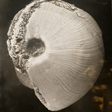 In the Age of Conscious Makers |  NCAD Gallery 
100 Thomas Street Dublin 8 | Monday 4 November 2019 to Monday 6 January 2020 | to 