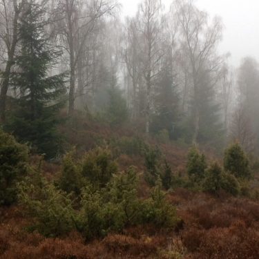 Outburst 2019: Radical Intimacies |  Golden Thread Gallery 
23-29 Queen Street Belfast BT1 6EA | Friday 8 November to Saturday 14 December 2019 | to 