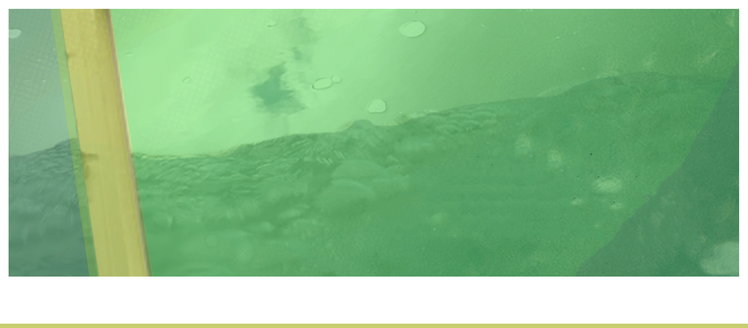 LOCALE #3 | Thursday 24 October  – Sunday 3 November 2019 | A4 Sounds Gallery