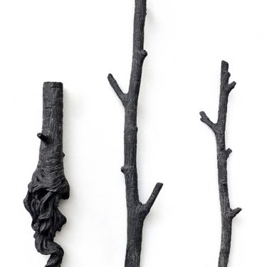 Selvage Collective: A Most Favourable Soil |  Butler Gallery 
Evans’ Home John’s Quay, Kilkenny | Saturday 9 November 2019 to Sunday 1 March 2020 | to 