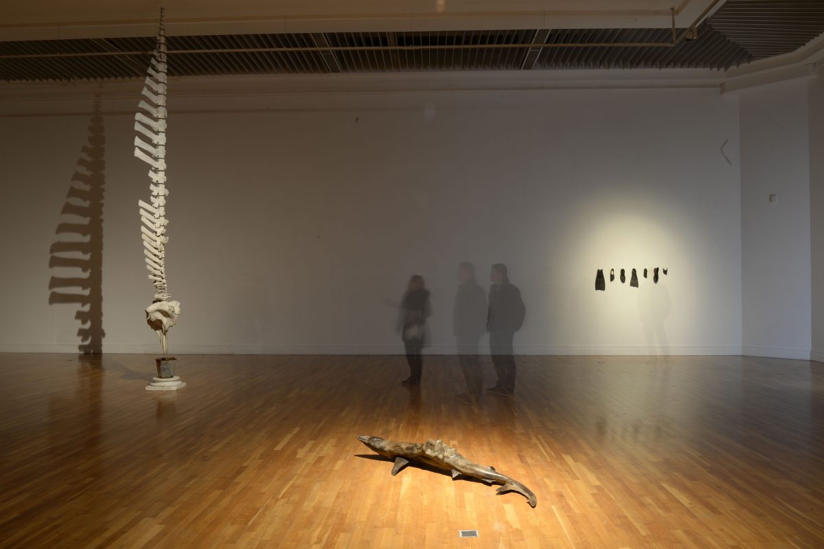 Dorothy Cross ARHA, install image from Connemara, RHA, Dublin, 2014; photography Bryan Meade | Dorothy Cross ARHA: The Shelf | Friday 22 November 2019  – Sunday 26 January 2020 | Royal Hibernian Academy
