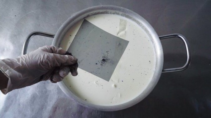 Avril Corroon: Spoiled Spores | Friday 15 November 2019  – Thursday 9 January 2020 | The LAB