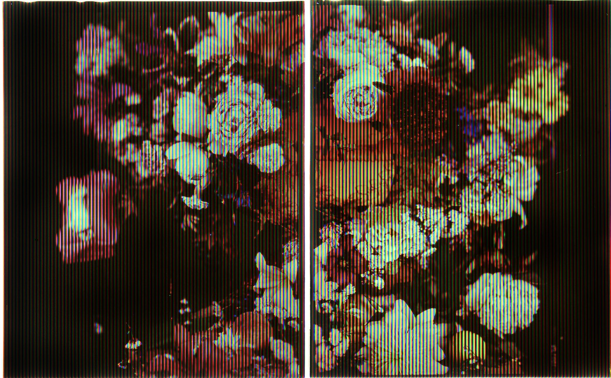 Alan Phelan, Carol Sawyer as Natalie Brettschneider as Leaf as Me, 1986 when Ray was really Miller, 2019, Joly Screen photograph: toned gelatin silver sheet film (reverse processed), duraclear c-print screen, acrylic panels, LED panel, MDF support, electrics, archival paper tape, insulation tape; image courtesy the artist | Alan Phelan: Folly & Diction | Friday 14 February  – Friday 27 March 2020 | Royal Hibernian Academy