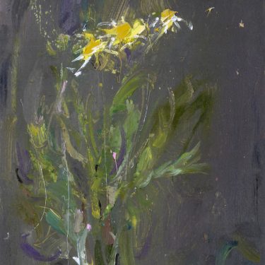 Gabhann Dunne: Committed to Falling |  Uillinn: West Cork Arts Centre 
Skibbereen, Co Cork | Saturday 29 February to Saturday 4 April 2020 | to 