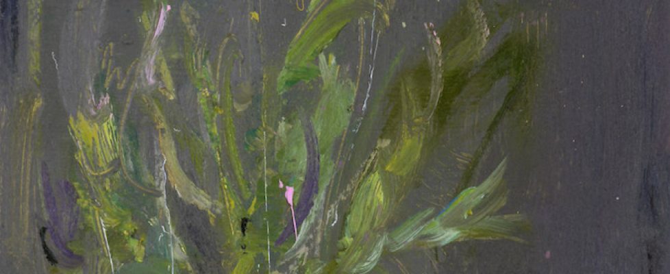 Gabhann Dunne, Corn Chamomile, 20cm x 15 cm, 2019.