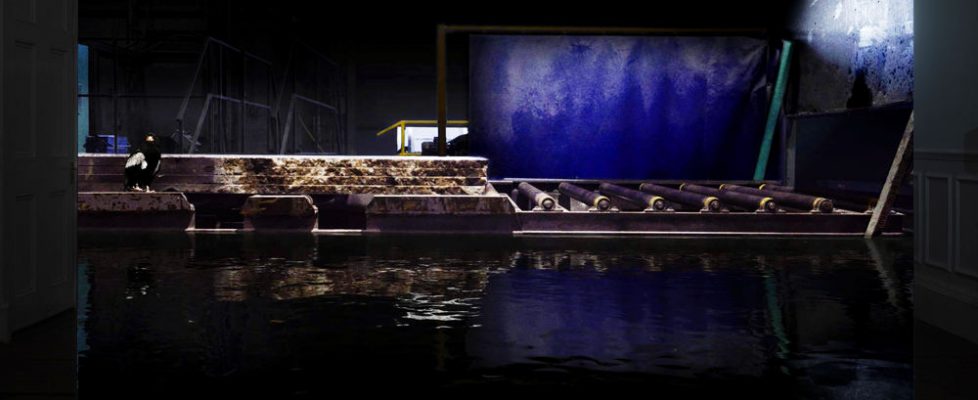 IOHN_installation_shot_AFI