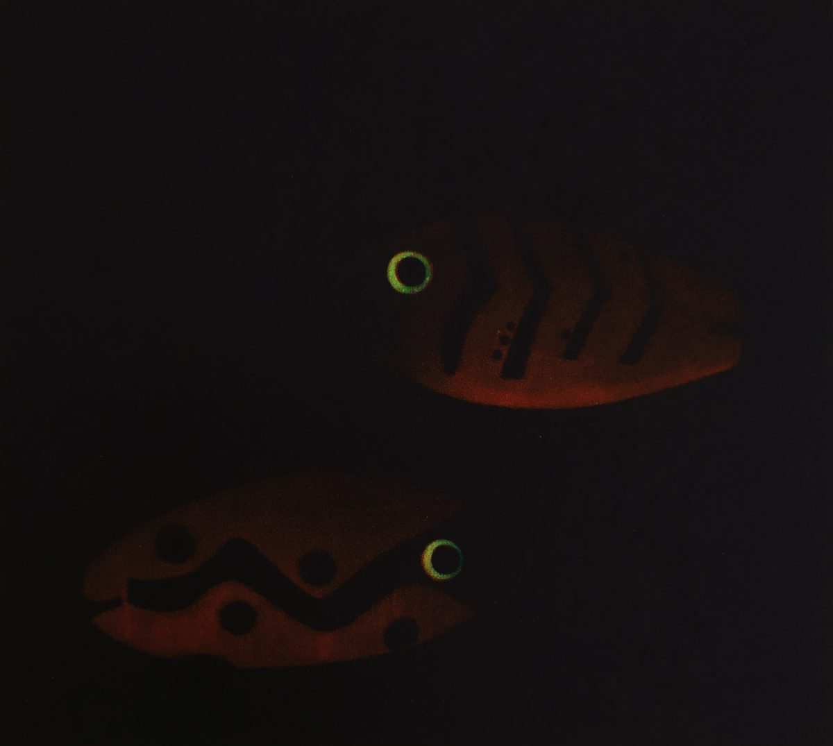 James McCreary, Lures Cala Culip | James McCreary: Swimming with Dali | Saturday 8 February  – Saturday 7 March 2020 | Graphic Studio Gallery