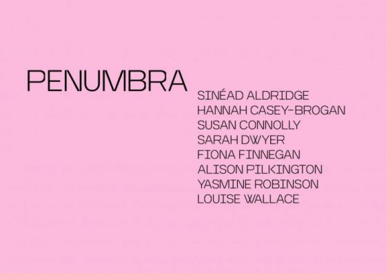 Penumbra | Saturday 15 February  – Saturday 3 October 2020 | F.E. McWilliam Gallery