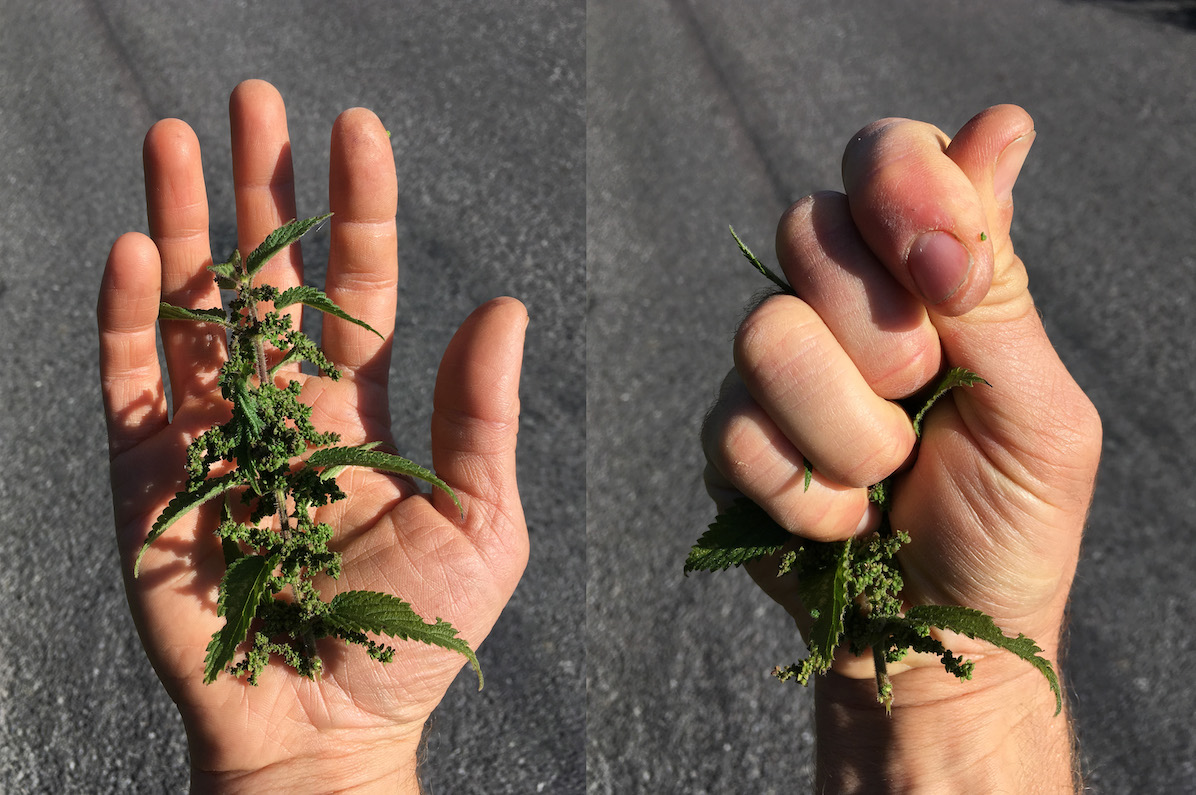 William Bock, Migrant, image created in collaboration with participant of the Land Walks project, digital photograph | Willam Bock: Land Walks Land Talks Land Marks  | Saturday 29 February  – Saturday 4 April 2020 | Uillinn: West Cork Arts Centre