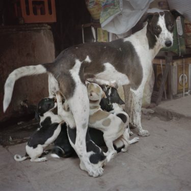 Hannah Modigh: Delta |  Photo Museum Ireland 
Meeting House Square Temple Bar, Dublin 2 | Thursday 5 March to Friday 31 July 2020 | to 