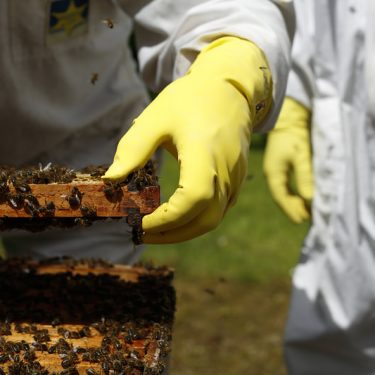 Christine Mackey: Safe-Hold |  Wexford Arts Centre 
Cornmarket, Wexford | Saturday 22 February to Saturday 21 March 2020 | to 