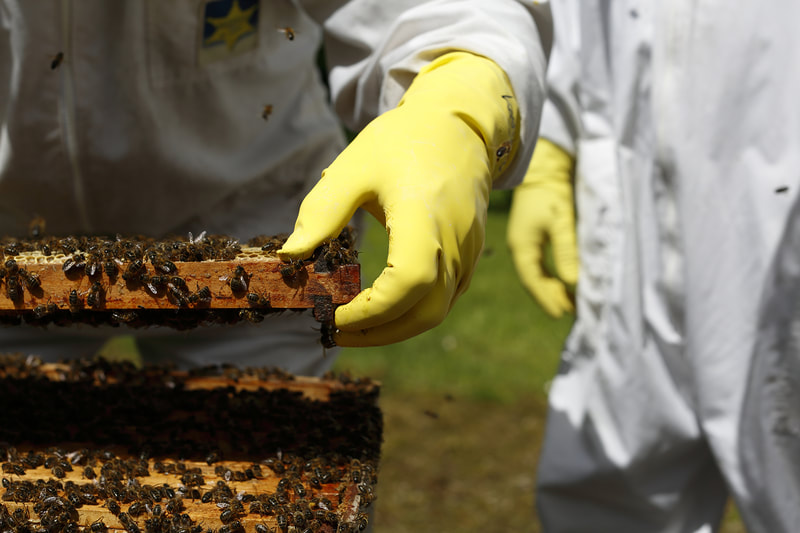 Christine Mackey: Safe-Hold | Saturday 22 February  – Saturday 21 March 2020 | Wexford Arts Centre