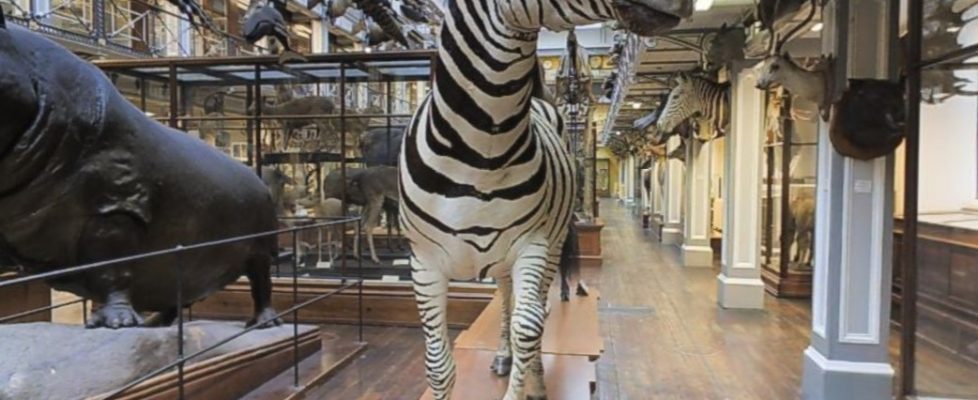 Screenshot 2020-03-31 at 09.04.21