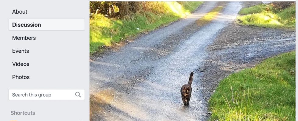 Screenshot 2020-03-31 at 10.48.33