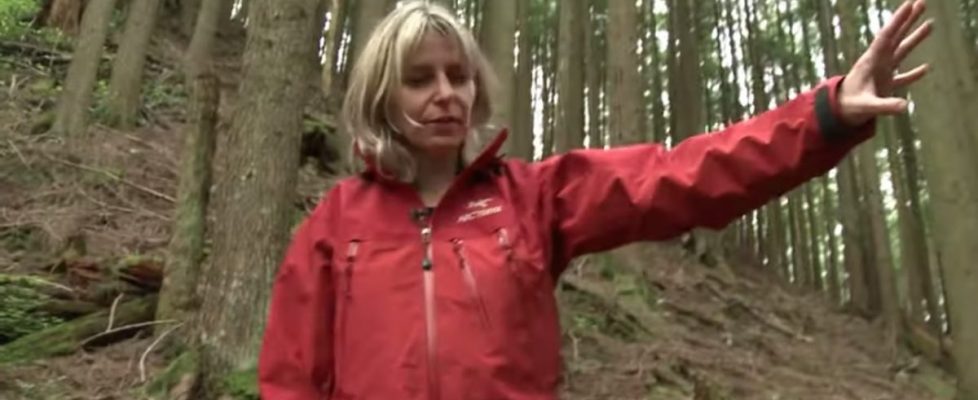 Screenshot 2020-04-03 at 13.53.46